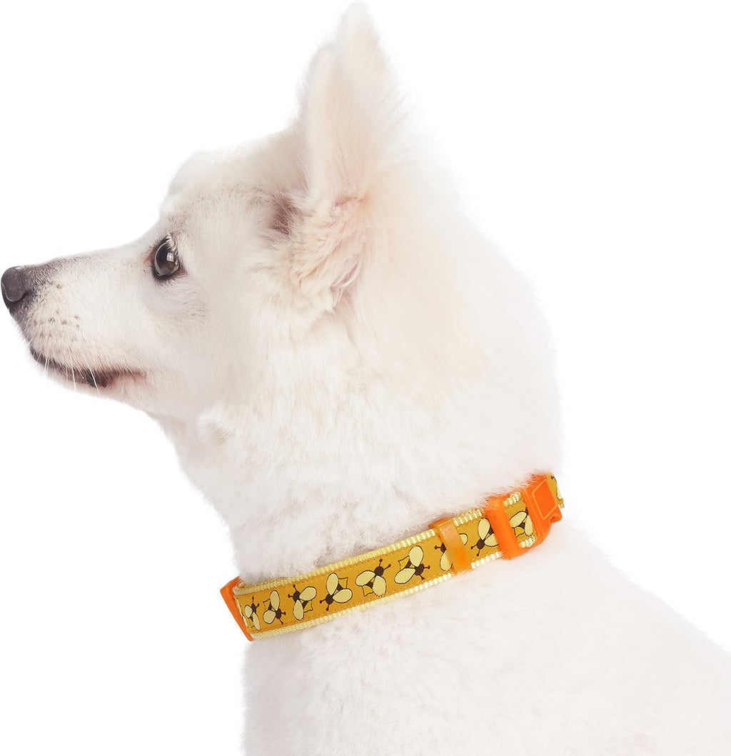 Essentials 10 Patterns Statement Busy Bees Designer Adjustable Dog Collar, Small, Neck 12"-16"