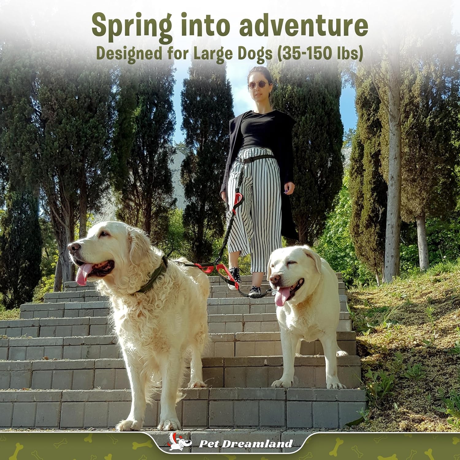 Exquisite Hands Free Double Leash for Two Dogs No Tangle. Premium Quality & Versatile Running Your Two Large Dogs. You Will Absolutely Love This Amazing Dual Dog Leash (Black & Red)