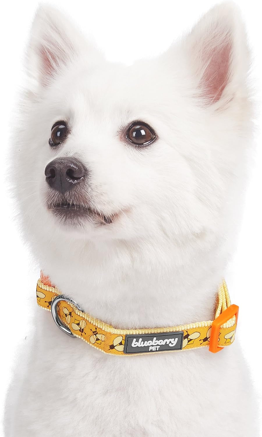 Essentials 10 Patterns Statement Busy Bees Designer Adjustable Dog Collar, Small, Neck 12"-16"